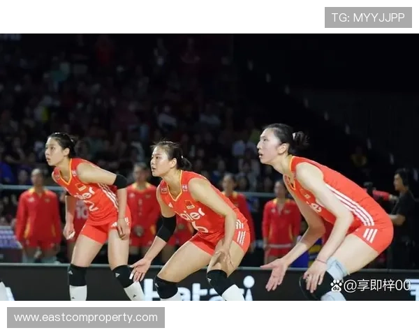 中国女排鏖战五局逆转夺冠展现顽强拼搏精神点燃全民体育激情