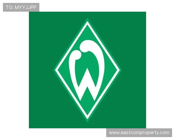 云达不来梅足球俱乐部的辉煌历史与未来发展展望 云达不来梅足球俱乐部的辉煌历史与未来发展展望