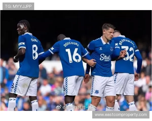 埃弗顿足球俱乐部历史沿革与未来发展战略分析