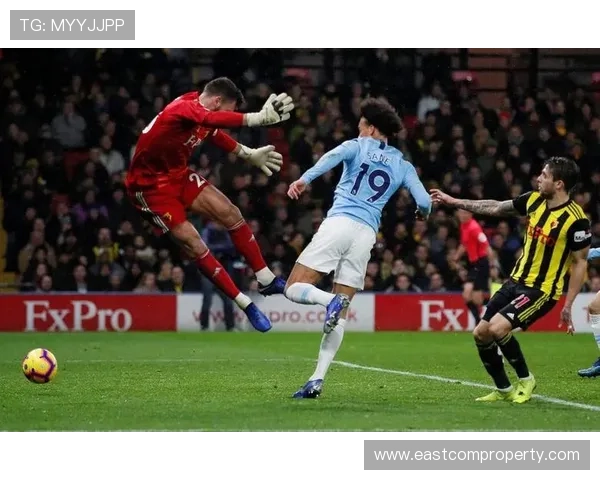 富勒姆足球俱乐部崛起之路从伦敦西区传统劲旅到英超新势力