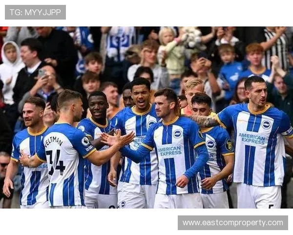 布莱顿足球俱乐部的崛起与英超赛季挑战分析