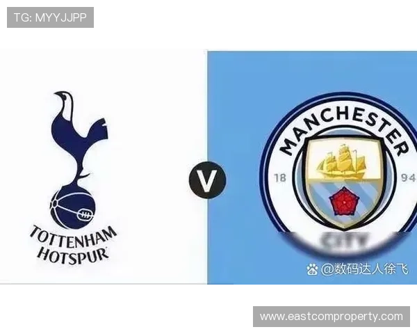 阿斯顿维拉俱乐部发展历程与英超竞争力分析